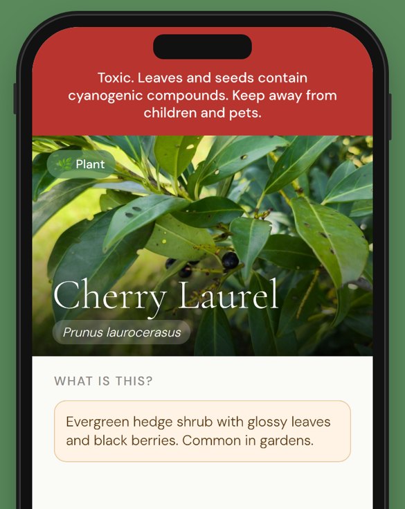 Toxic plant warning